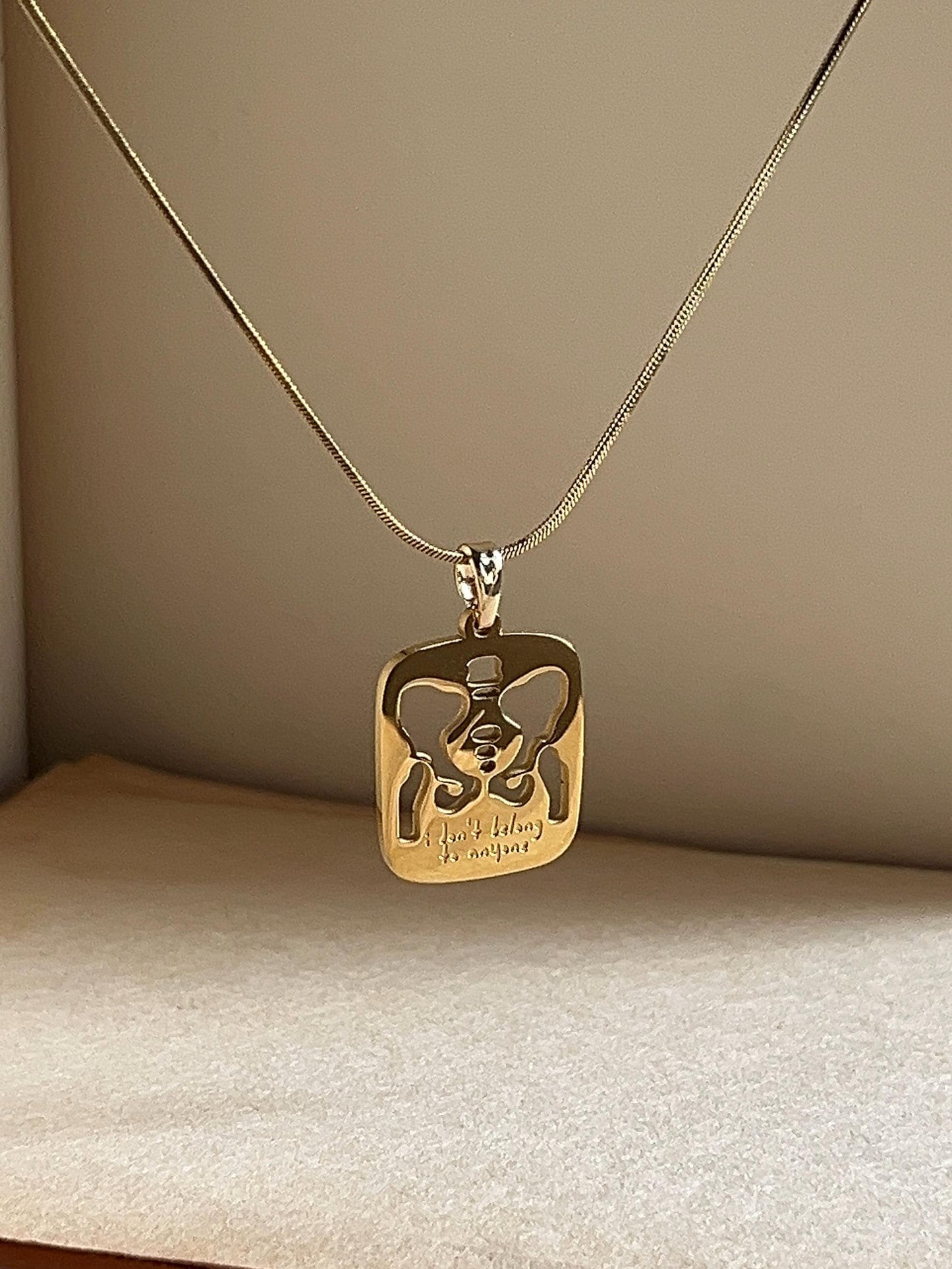 I Don’t Belong To Anyone | Pelvic Bone Stainless Steel Necklace | David Lyrics